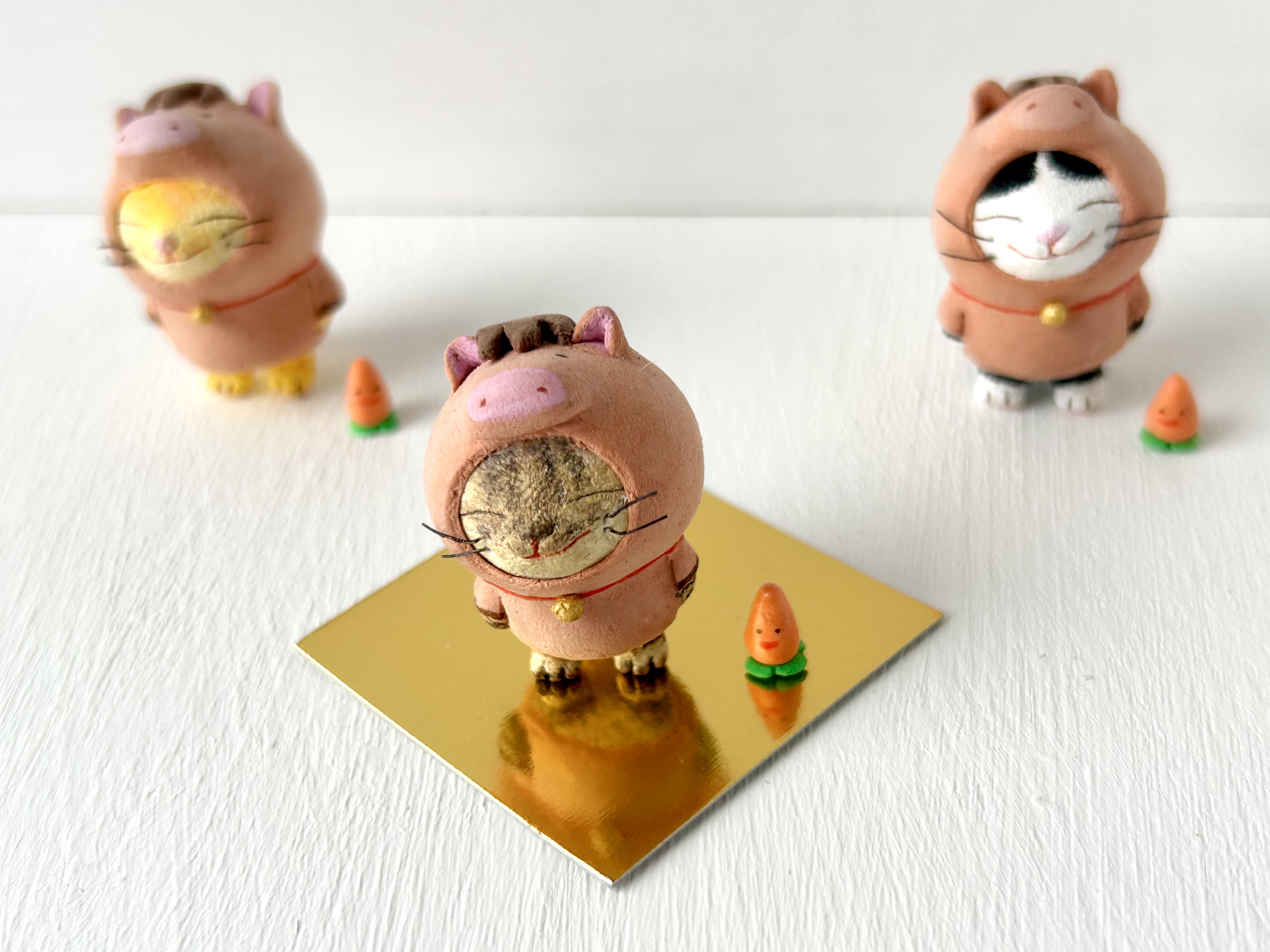 きじとら 色違いのシマシマ姉妹😺😺♥️ . #キジトラ #きじとら #猫 #猫のいる