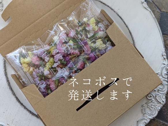 990＊ドライフラワー髪飾り パステルミックス ＊ うらやましく