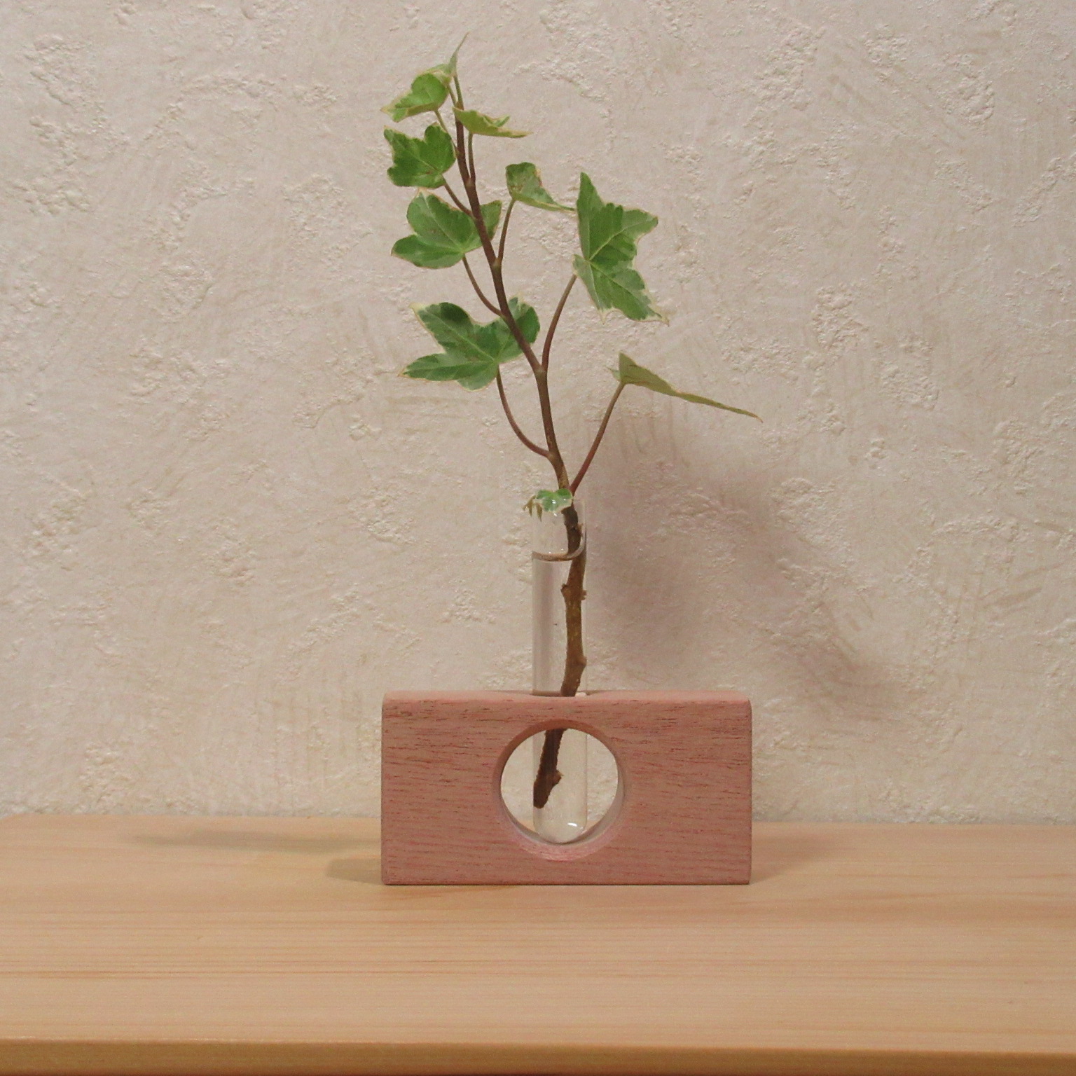 アート鉢 by カメ子カメ男 ダークグレー アート鉢 by カメ子カメ男 ダークグレー 特集 | 高島屋